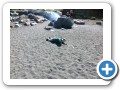 Middle Cove Beach.
