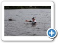 Swimming in Neary's Pond.